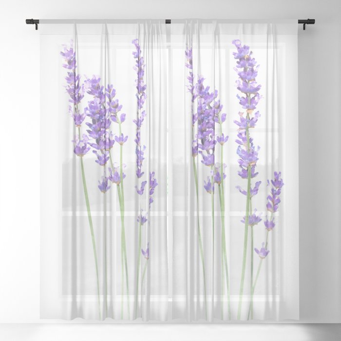 Sheer Curtain