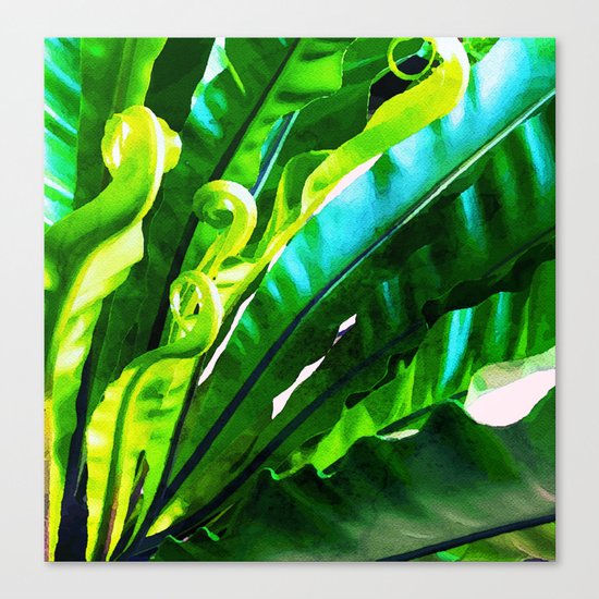 Shy Fern #society6 #decor #buyart Canvas Print