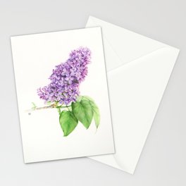 Lilac Branch Stationery Cards