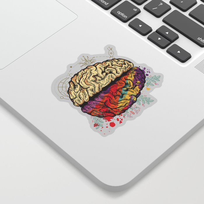 Intellectual/Creative Brain Anatomy  Sticker