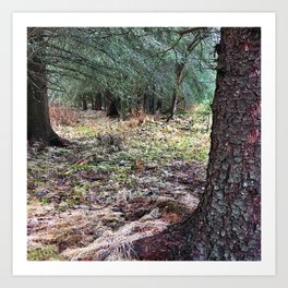 Lichen Forest Art Print