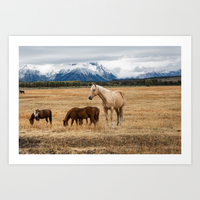 Mountain Horse - Palomino Horse on Autumn Day in Grand Teton National Park Wyoming Art Print