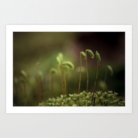 anew Art Print