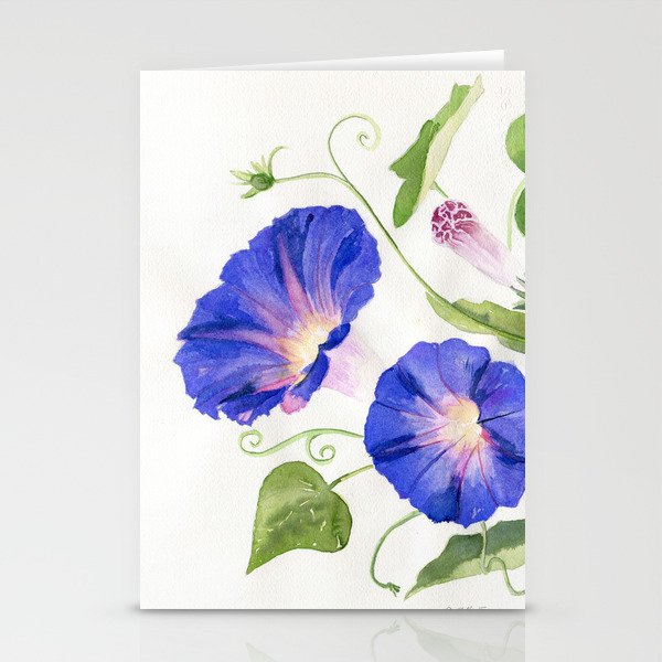 Morning Glory Bloom Stationery Cards