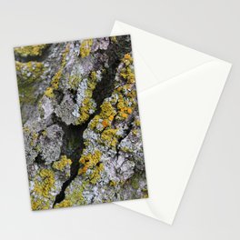 Lichen #1 Stationery Cards