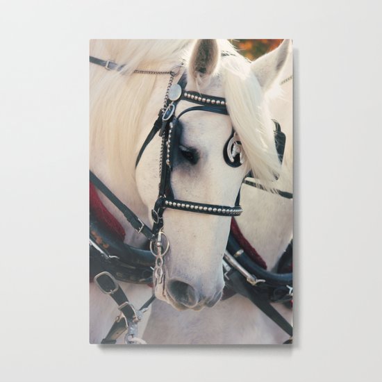True Beauty Metal Print