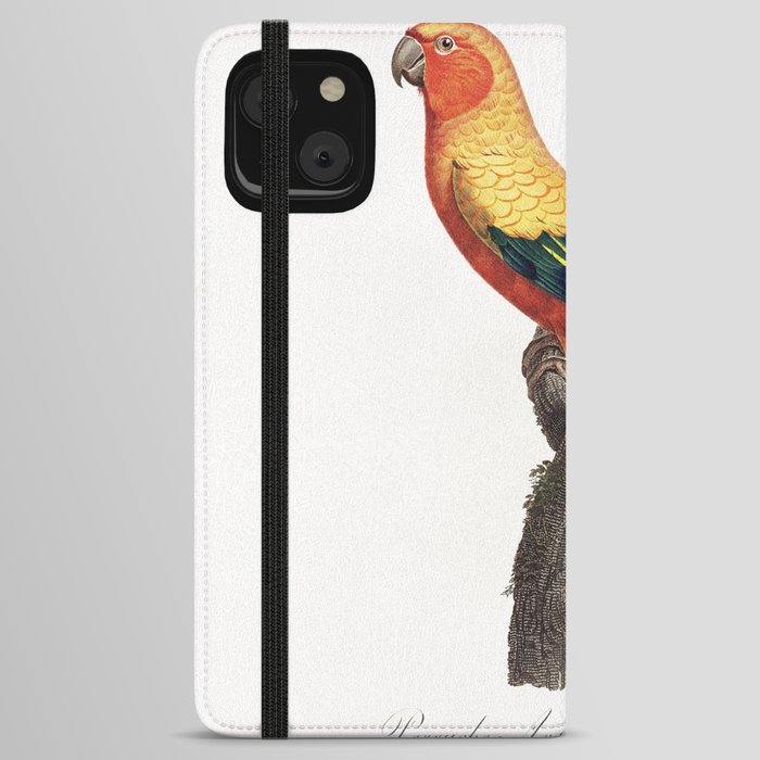 The Sun Parakeet, Aratinga solstitialis, male from Natural History of Parrots (1801&mdash;1805) by Francois Levaillant iPhone Wallet Case