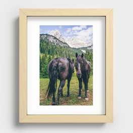 Friesian Horses in Mountains - Austria Alps - Equine Recessed Framed Print