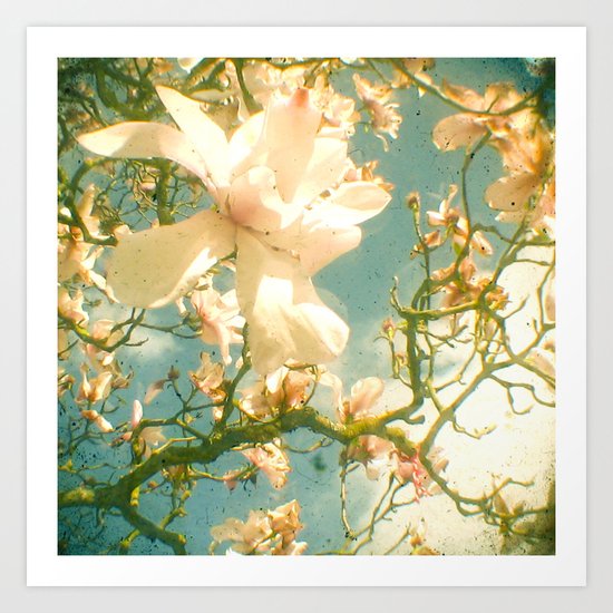 Magnolia Art Print