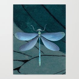 Dragonfly drawing Poster