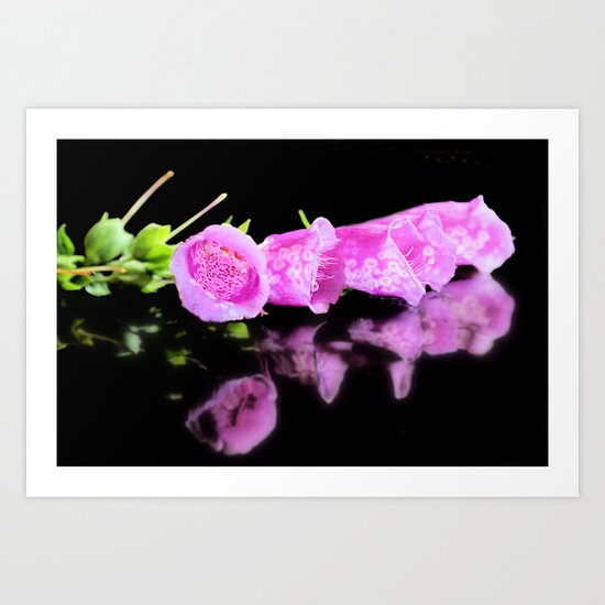 Foxy ladies Art Print