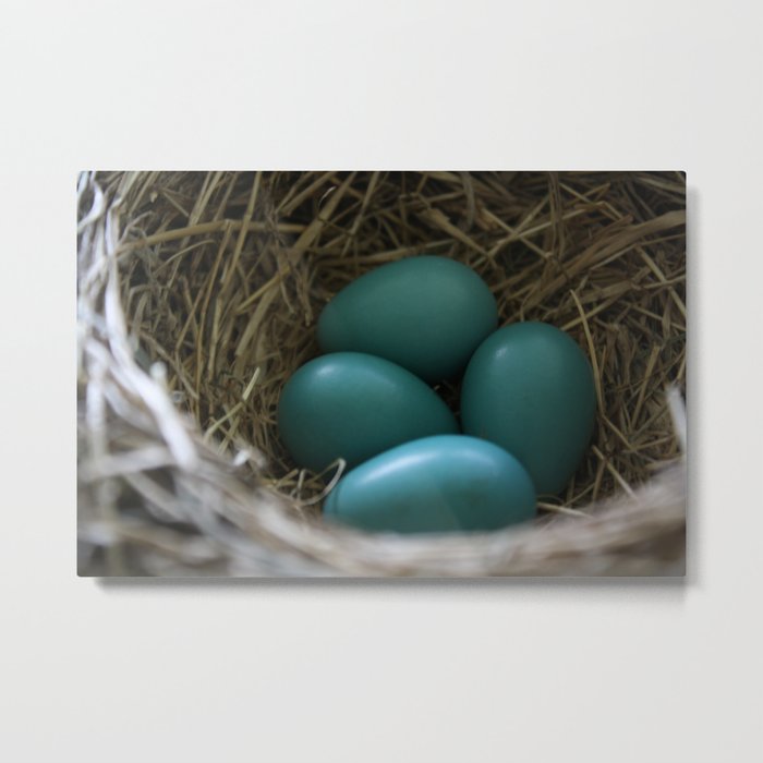 Robin's eggs Metal Print