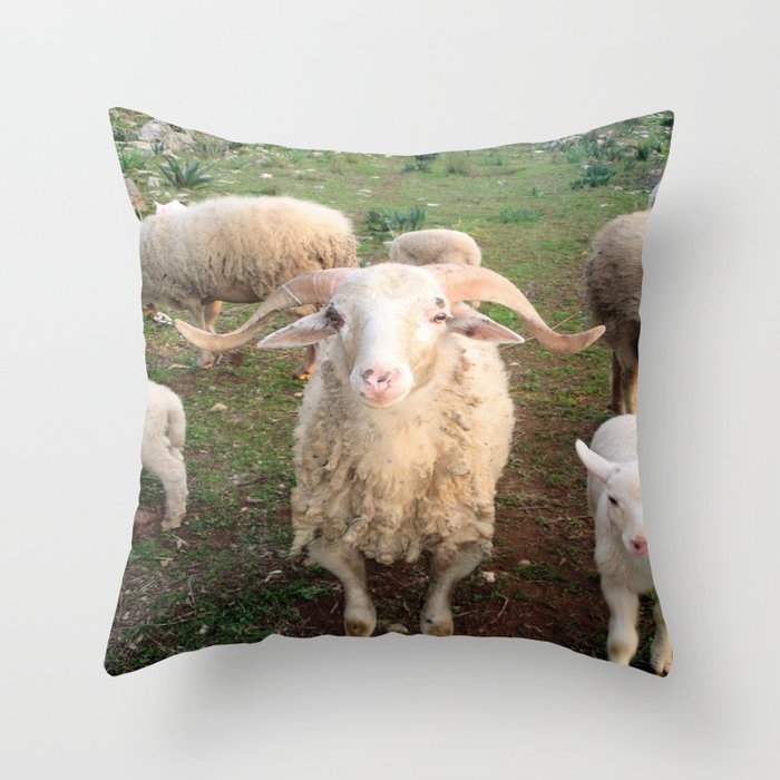 A Flock Of Sheep In A Rural Setting Throw Pillow