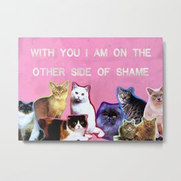 the other side of shame Metal Print
