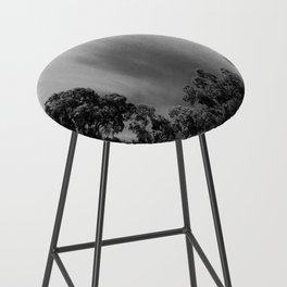  Scottish Highlands  Spring Birch Tree Canopy in Black and White Bar Stool