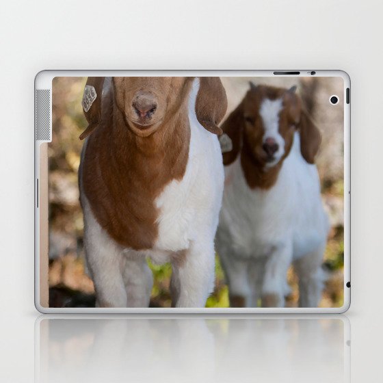 Two Young Brown White Goats Look  Laptop & iPad Skin