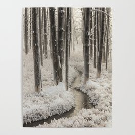 Frosty Morning in Yellowstone National Park Poster