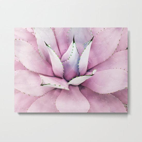 Pink Succulent Metal Print