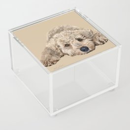 Labradoodle Acrylic Box