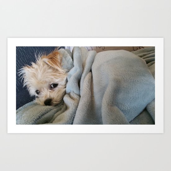 Don't Bother Me Art Print