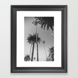 Palm Trees (Black and White) Framed Art Print