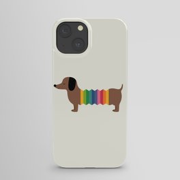 Rainbow Dooooog iPhone Case