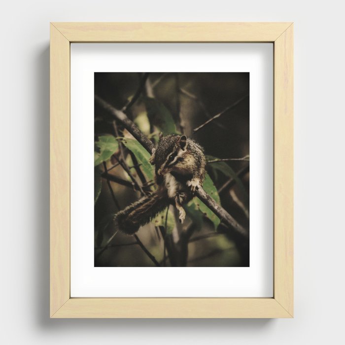 Rustic Woodland Chipmunk Recessed Framed Print