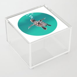round drawing of a small turtle Acrylic Box