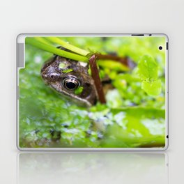 Friendly frog in his pond, photo Laptop Skin