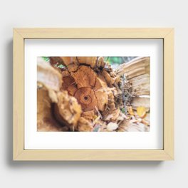 Heartwood After the Fall Recessed Framed Print
