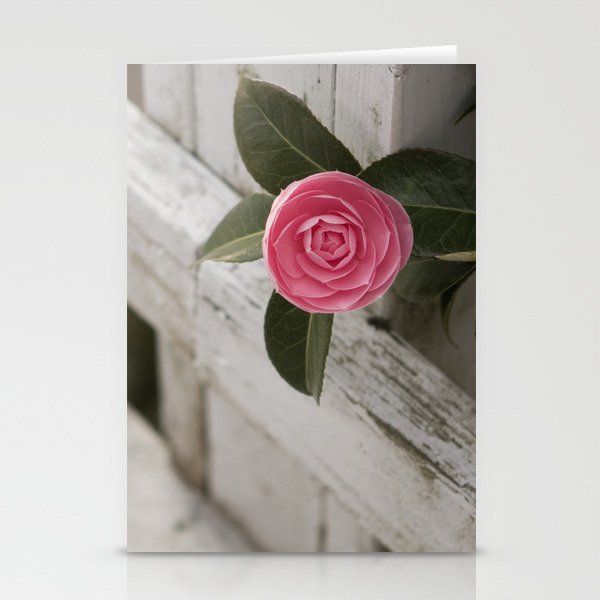 Pink Porch Flower Stationery Cards