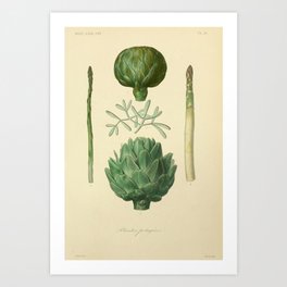 Plantes potagères, garden vegetables (1870) Art Print