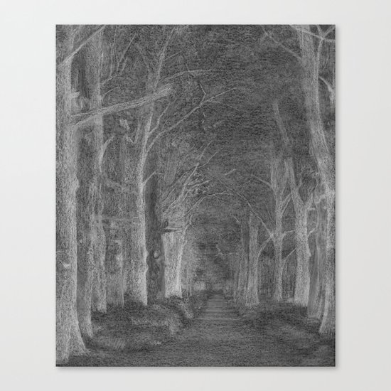 Moonwood Path Canvas Print