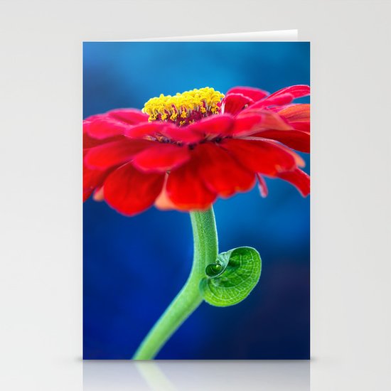 COLOR BLOCKING | RGB Stationery Cards