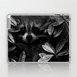 I spy - under cover of the night; baby raccoon spying in the ivy at night wilderness nature animal black and white photograph - photography - photographs Laptop Skin