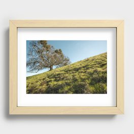 Valley Oak Recessed Framed Print
