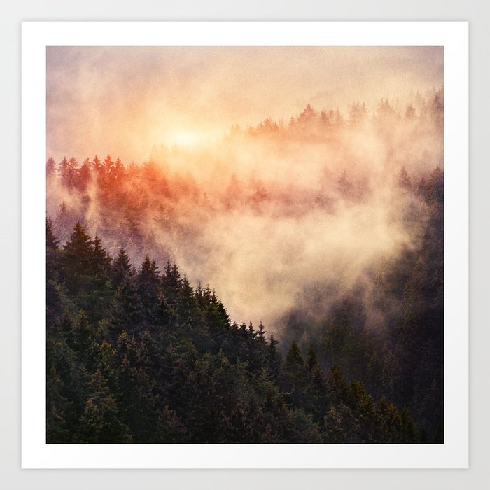 In My Other World //  Sunrise In A Romantic Misty Foggy Fairytale Forest With Trees Covered In Fog Art Print