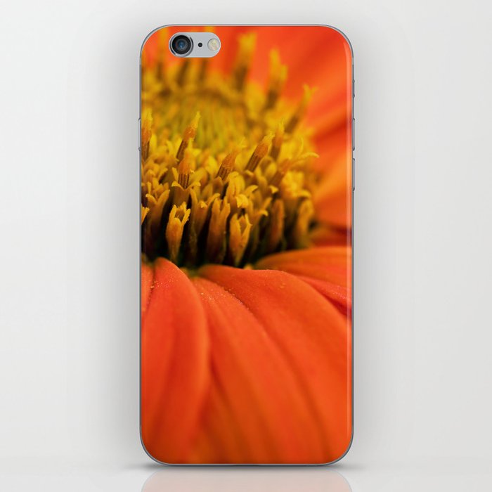 Magnificent Orange Dahlia Topmix Macro iPhone Skin