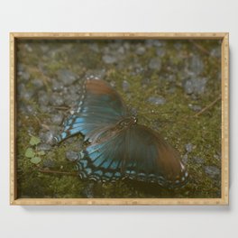 BLUE BUTTERFLY Serving Tray