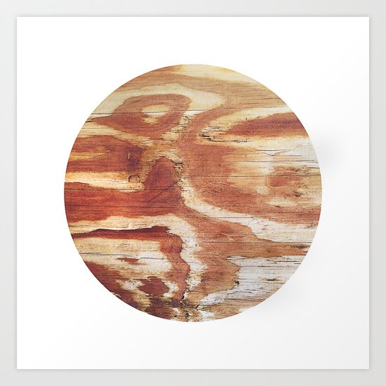 Planetary Bodies - Wood Art Print