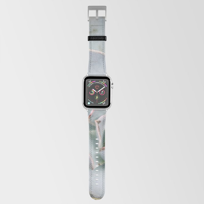Mexico Photography - The Echeveria Lilacina Plant Apple Watch Band