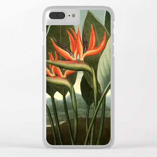 Birds of Paradise : Temple of Flora Clear iPhone Case