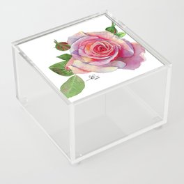 Rose in Watercolor #2 Acrylic Box