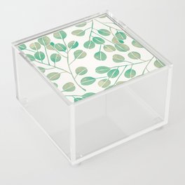 Silver Dollar Eucalyptus – Mint Palette Acrylic Box