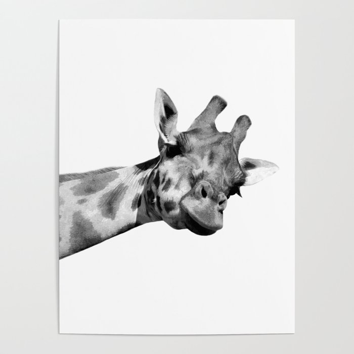 Black and white giraffe Poster