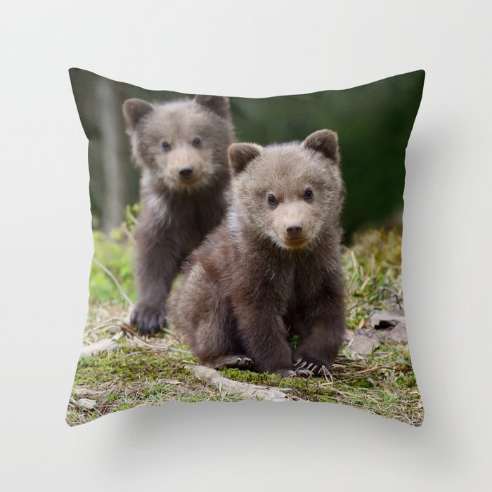 Baby Brown Bear Cubs In Forest Animal / Nature / Wildlife Photo Throw Pillow