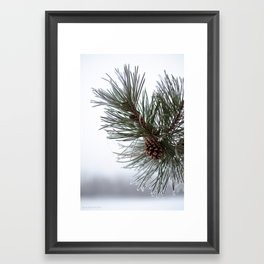 Frosted Cone Framed Art Print