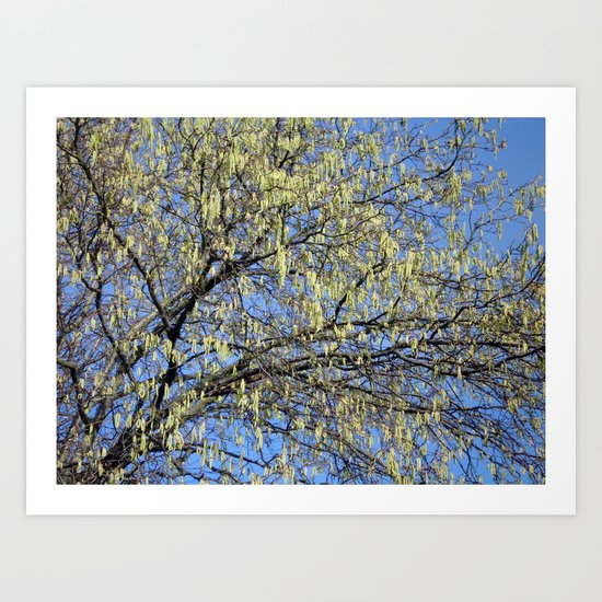 Nr. 466 Art Print