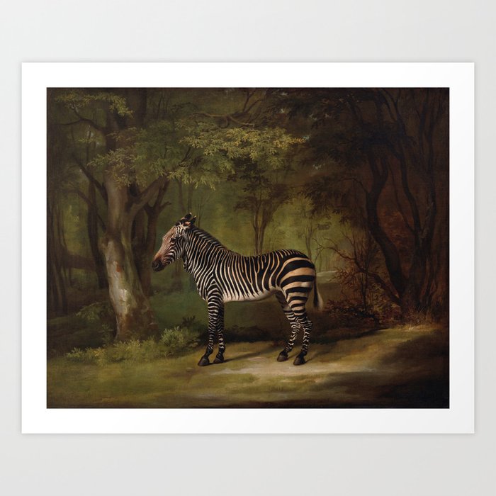 Antique Zebra Oil Painting Art Print