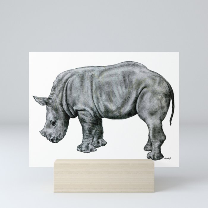 Rhino Correct, By Rhino Correct